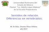 Universidad Autónoma del Estado de México Plantel “Lic ...