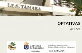 4º ESO - Gobierno de Canarias