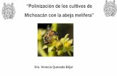 “Polinización de los cultivos de - Michoacán