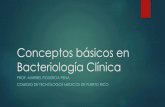 Conceptos básicos en Bacteriología Clínica