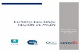 REPORTE REGIONAL REGIÓN DE AYSÉN