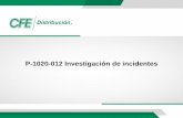 P-1020-012 Investigación de incidentes