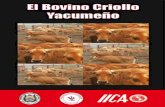 El Bovino Criollo - IICA