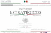 English version - Cámara Mexicana de la Industria de la ...