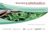 Generalidades del cultivo de habichuela 13 10