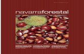 Navarra forestal 33:N.FORESTAL 14
