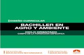 DISEÑO CURRICULAR BACHILLER EN AGRO Y AMBIENTE