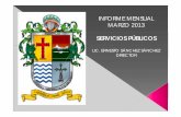 INFORME MENSUAL MARZO 2013 - Gobierno Municipal de ...