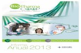 Informe Anual 2013 BPC.VO - Biopharma