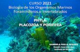 CURSO 2021 Biología de los Organismos Marinos ...