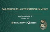 RADIOGRAFÍA DE LA DEFORESTACIÓN EN MÉXICO