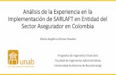 Análisis de la Experiencia en la Implementación de SARLAFT ...