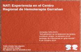 NAT: Experiencia en el Centro Regional de Hemoterapia Garrahan