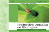 Producción Orgánica en Nicaragua - SIMAS- Servicio de ...