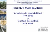 CULTIVO MAIZ BLANCO Análisis de rentabilidad P-V 2006 y ...
