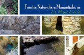 Fuentes Naturales y Manantiales en La Manchuela