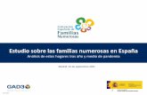 Estudio sobre las familias numerosas en España