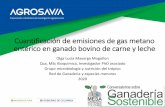 Cuantificación de emisiones de gas metano entérico en ...