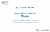 Seguro Gastos Médicos Mayores - GNP