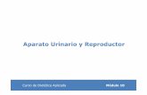 10 Aparato Urinario y Reproductorx - NUTRICI??N Y DIET ...