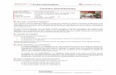 Ficha informativa Cocinero (Koch/Köchin)