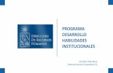 PROGRAMA DESARROLLO HABILIDADES INSTITUCIONALES