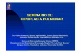 SEMINARIO 31 Hipoplasia pulmonar - CERPO