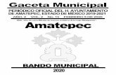 Municipio de Amatepec