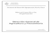 Dirección General de Agricultura y Fitosanitaria