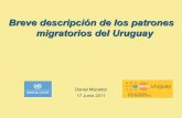 Breve descripción de los patrones migratorios del Uruguay