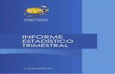 Informe Estadístico Trimestral - CMF Chile