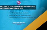 RETOS EN EL DERECHO A LA PROTECCIÓN DE LOS DATOS ...