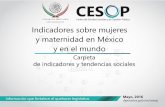 Indicadores sobre mujeres y maternidad en México y en el …