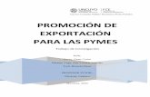 PROMOCIÓN DE EXPORTACIÓN PARA LAS PYMES