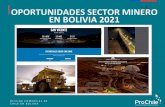 OPORTUNIDADES SECTOR MINERO EN BOLIVIA 2021