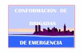 CONFORMACION DE BRIGADAS - JMCPRL