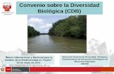 Convenio sobre la Diversidad Biológica (CDB)