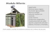 Modulo Milenio - PAHO