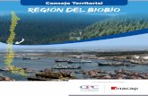 Consejo Territorial REGIÓN DEl biobío