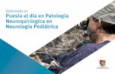 Diplomado en Puesta al día en Patología Neuroquirúrgica en ...
