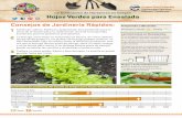 La Cultivación de Hortalizas en Oregón Hojas Verdes para ...