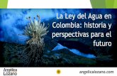 La Ley del Agua en Colombia: historia y perspectivas para ...