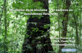 Monitoreo de la biomasa y el carbono en ecosistemas forestales