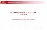 Planeación Anual - Michoacán