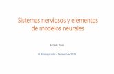 Sistemas nerviosos y elementos de modelos neurales