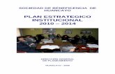 PLAN ESTRATEGICO INSTITUCIONAL 2010 2014