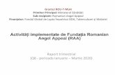 Activități implementate de Fundația Romanian Angel Appeal ...