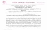 Boletín Oficial de Castilla y León - facultadcetsoria.com
