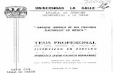 TESIS: ANALISIS JURIDICO DE LOS PROCESOS ELECTORALES EN MEXICO
