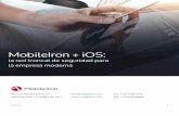 MobileIron + iOS